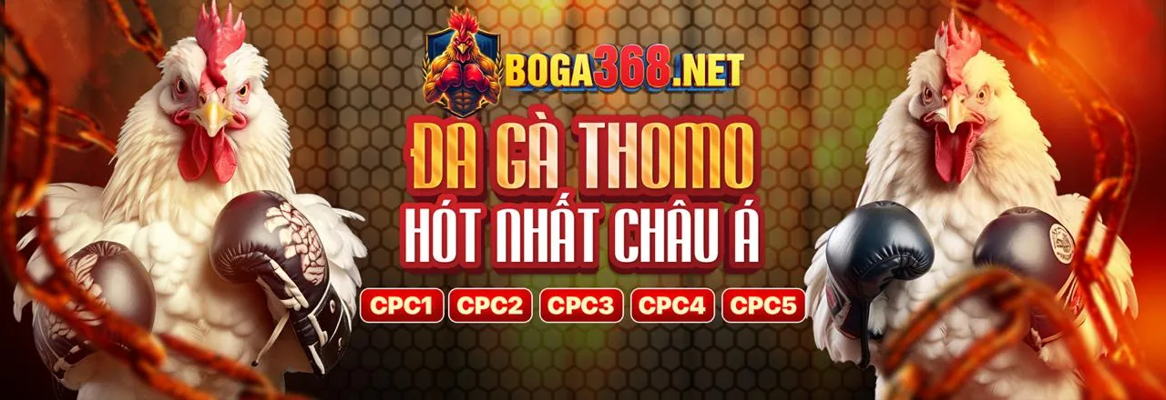 Các lợi ích khi chọn Melbet Khuyến Mãi